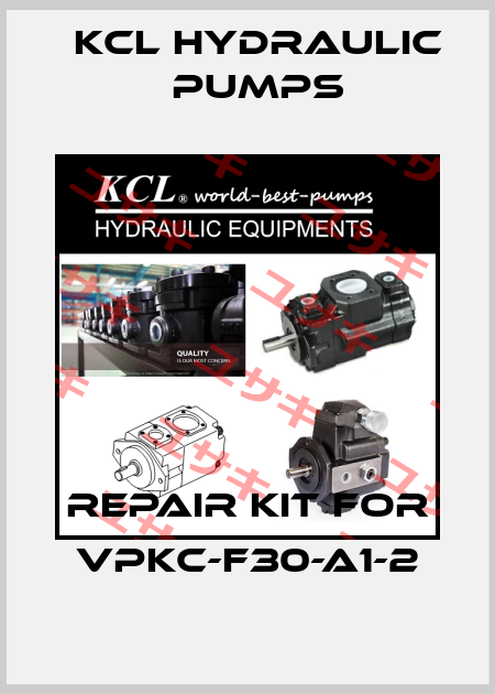 Repair kit for VPKC-F30-A1-2 KCL HYDRAULIC PUMPS