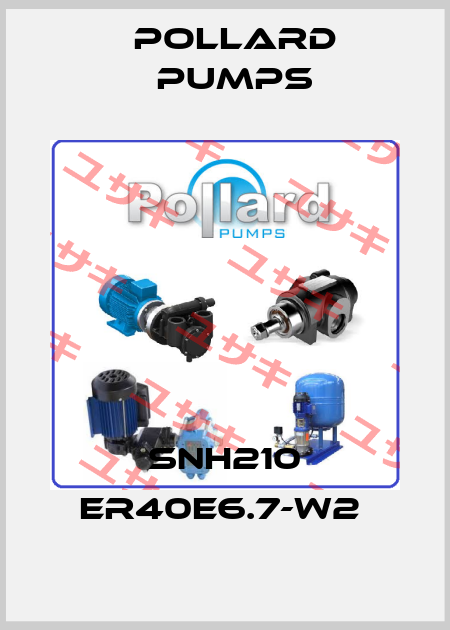SNH210 ER40E6.7-W2  Pollard pumps