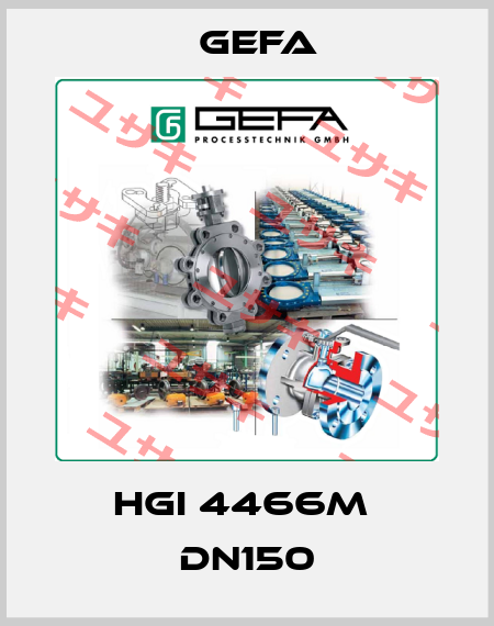 HGI 4466M  DN150 Gefa