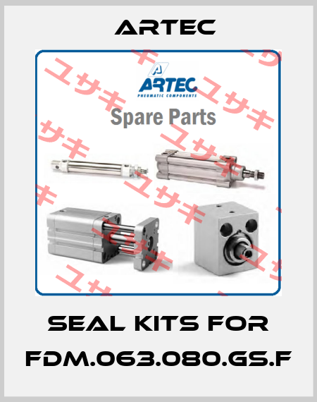 seal kits for FDM.063.080.GS.F ARTEC