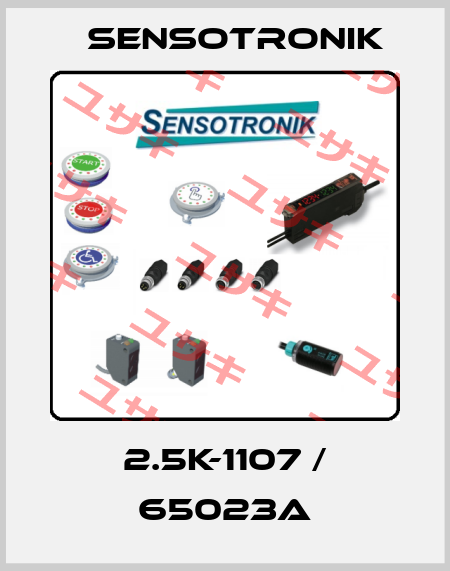  2.5K-1107 / 65023A Sensotronik