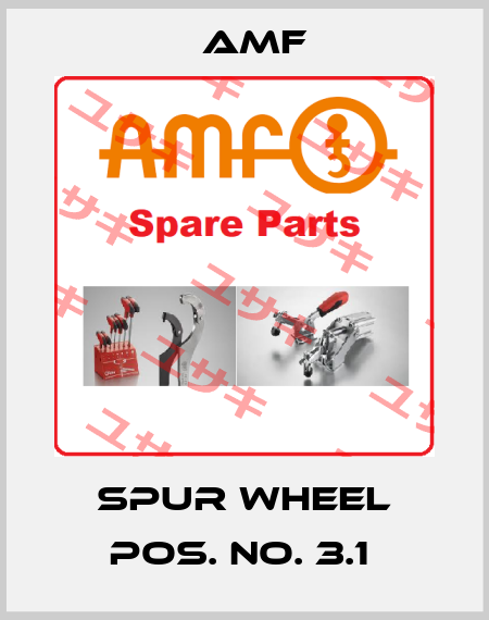 Spur Wheel Pos. No. 3.1  Amf