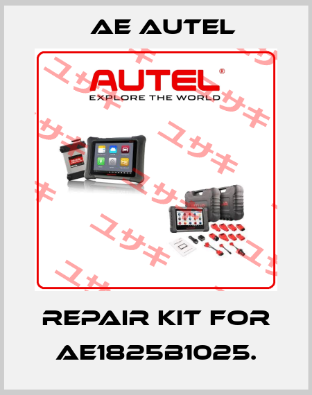 repair kit for AE1825B1025. AE AUTEL