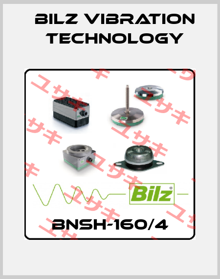 BNSH-160/4 Bilz Vibration Technology