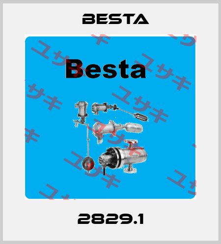 2829.1 BESTA