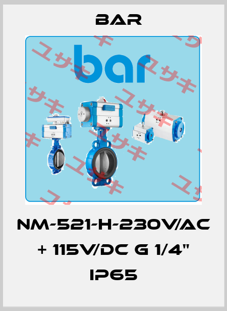 NM-521-H-230V/AC + 115V/DC G 1/4" IP65 bar