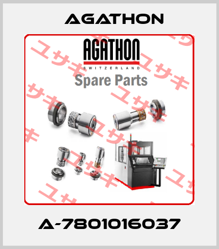 A-7801016037 AGATHON