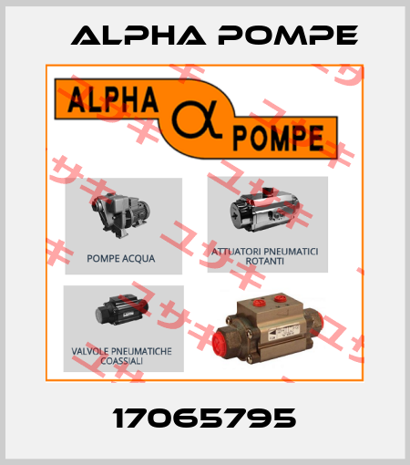 17065795 Alpha Pompe