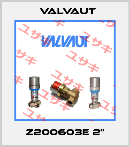 Z200603E 2” Valvaut