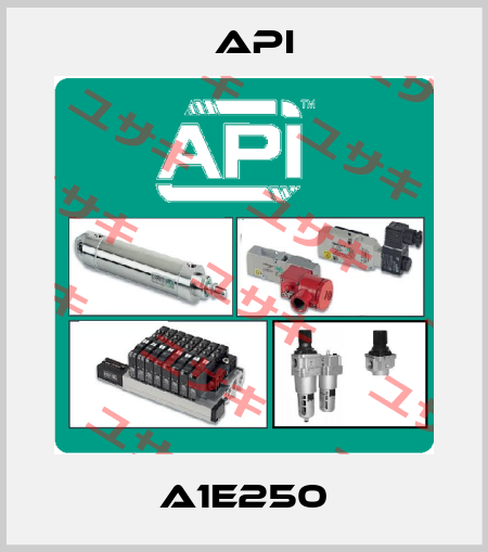 A1E250 API