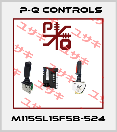 M115SL15F58-524 P-Q Controls