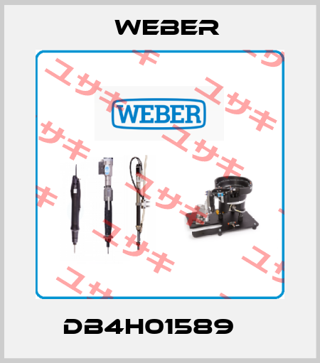 DB4H01589    Weber