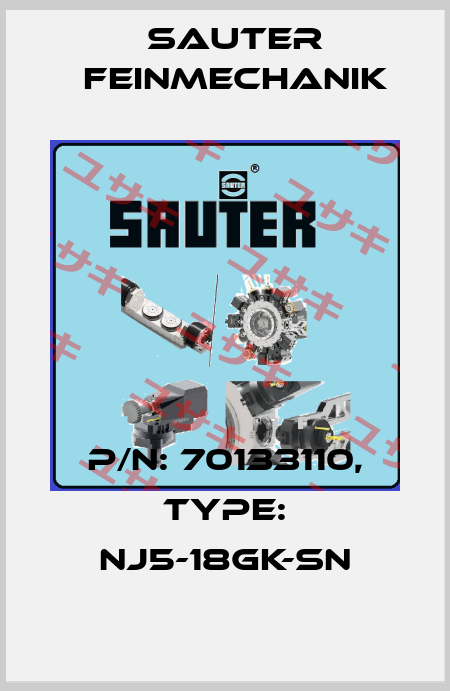 p/n: 70133110, Type: NJ5-18GK-SN Sauter Feinmechanik