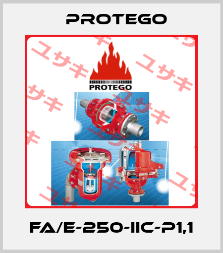 FA/E-250-IIC-P1,1 Protego