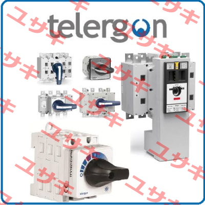 DS-PI11 Telergon