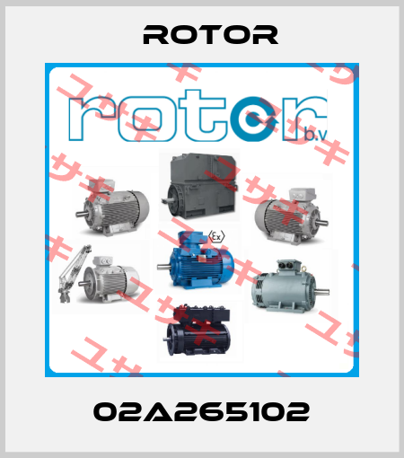 02A265102 Rotor