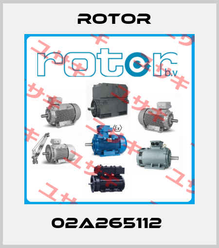 02A265112  Rotor