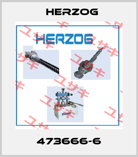 473666-6 Herzog