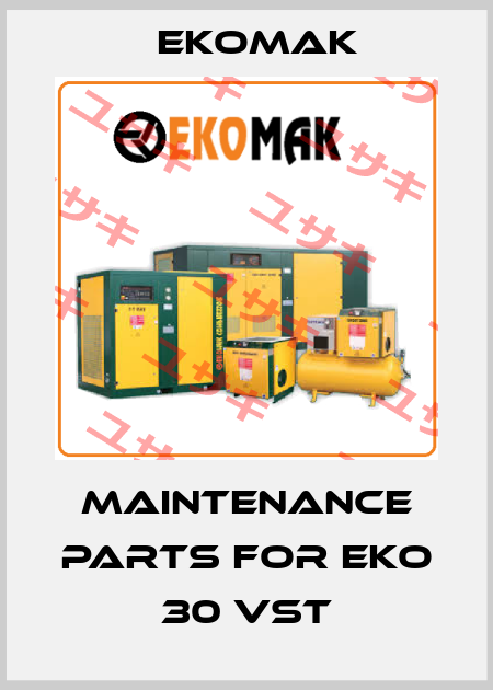 maintenance parts for EKO 30 VST Ekomak