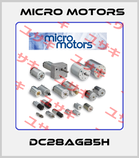 DC28aGB5H Micro Motors