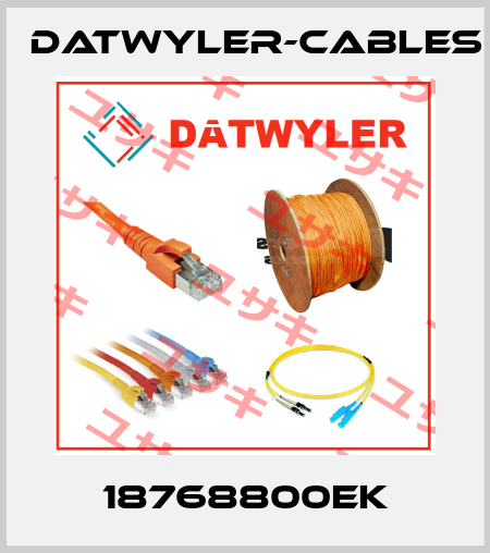 18768800EK Datwyler-cables