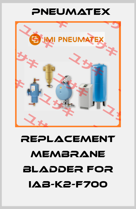 replacement membrane bladder for IAB-K2-F700 PNEUMATEX