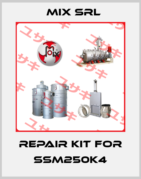 repair kit for SSM250K4 MIX Srl
