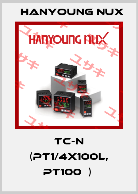TC-N (PT1/4X100L, PT100Ω)  HanYoung NUX