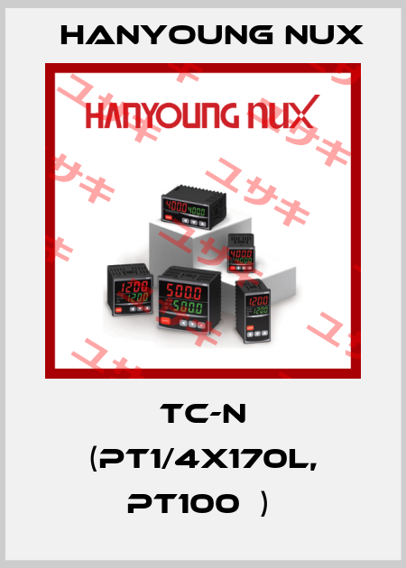 TC-N (PT1/4X170L, PT100Ω)  HanYoung NUX