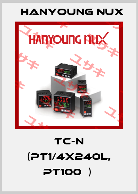 TC-N (PT1/4X240L, PT100Ω)  HanYoung NUX