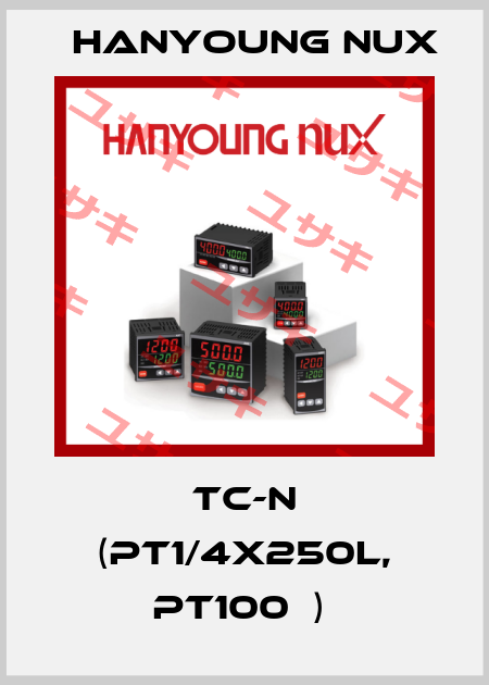 TC-N (PT1/4X250L, PT100Ω)  HanYoung NUX
