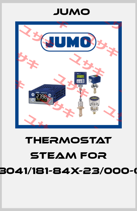 THERMOSTAT STEAM FOR 703041/181-84X-23/000-061  Jumo