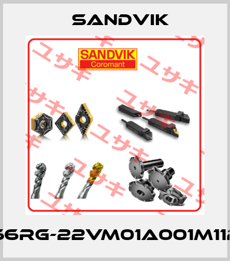 266RG-22VM01A001M1125 Sandvik