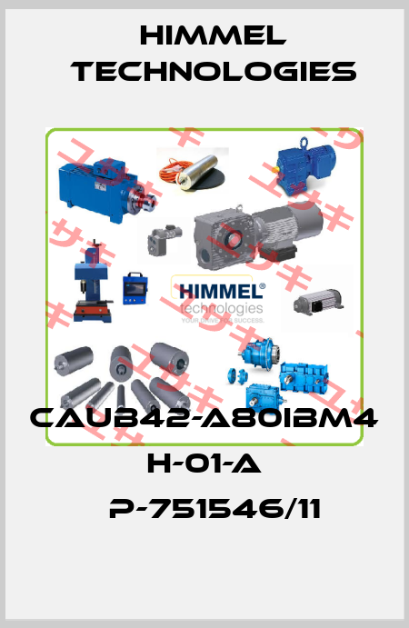 CAUB42-A80IBM4 H-01-A 	P-751546/11 HIMMEL technologies