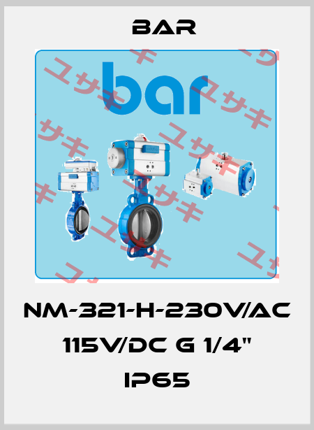 NM-321-H-230V/AC 115V/DC G 1/4" IP65 bar