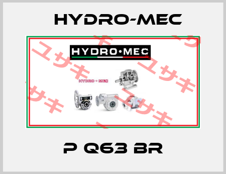P Q63 BR Hydro-Mec