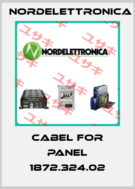 cabel for panel 1872.324.02 Nordelettronica