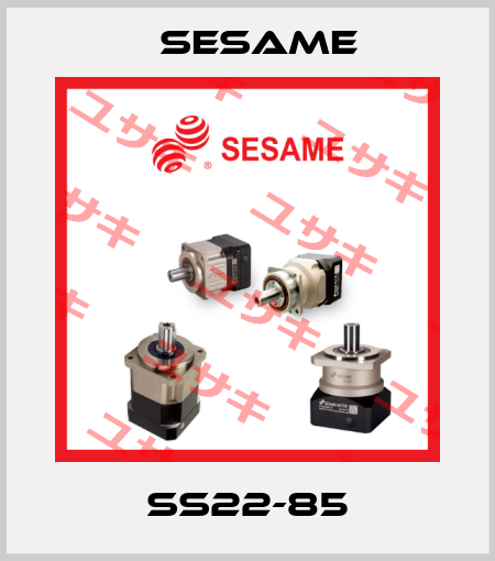 SS22-85 Sesame