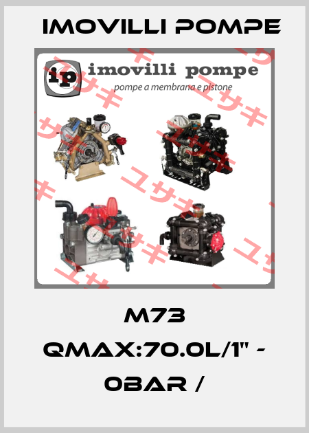 M73 Qmax:70.0l/1" - 0Bar / Imovilli pompe