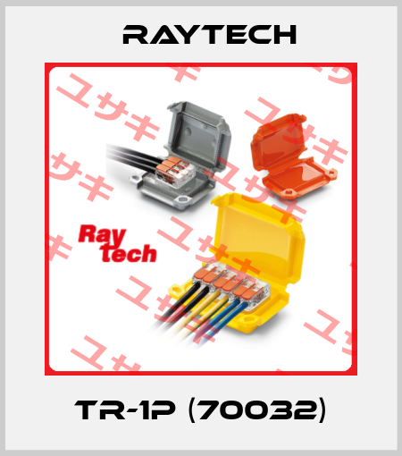 TR-1P (70032) Raytech