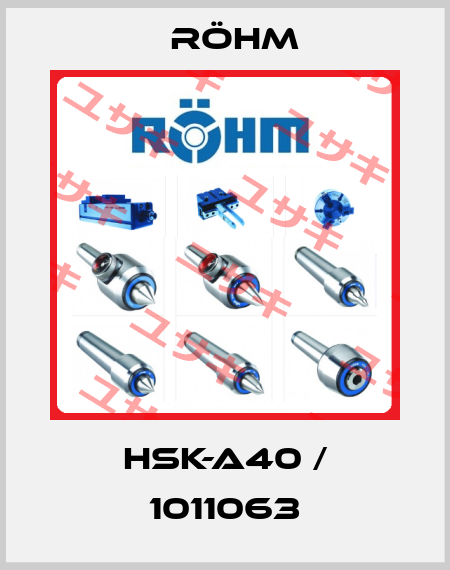HSK-A40 / 1011063 Röhm