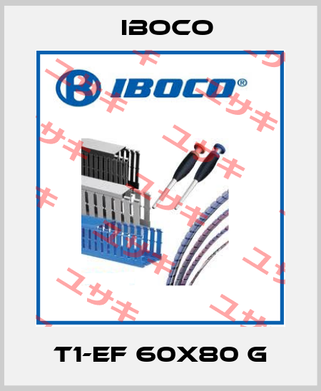 T1-EF 60X80 G Iboco