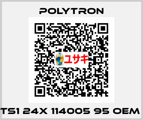 TS1 24X 114005 95 oem  Polytron