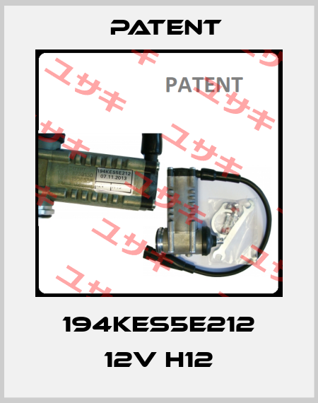194KES5E212 12V H12 Patent
