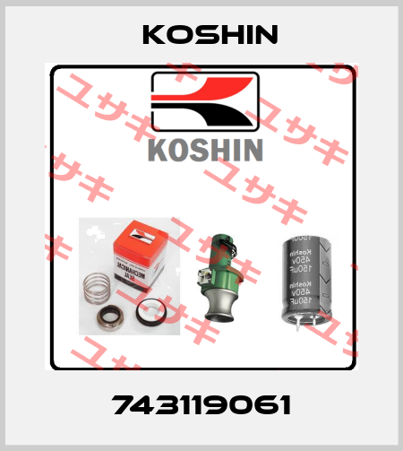 743119061 Koshin