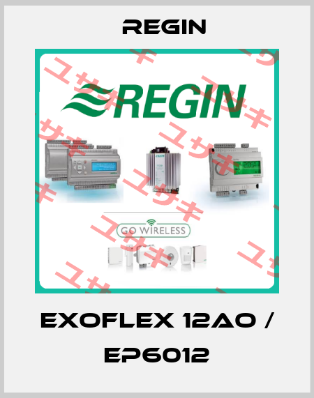 EXOflex 12AO / EP6012 Regin