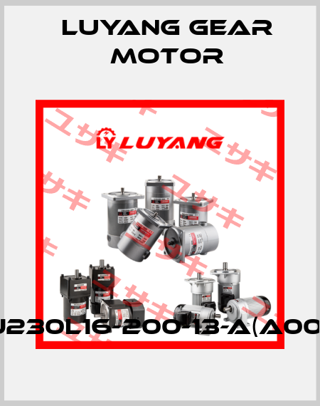 UJ230L16-200-13-A(A002) Luyang Gear Motor