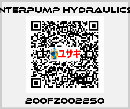 200FZ0022S0 Interpump hydraulics
