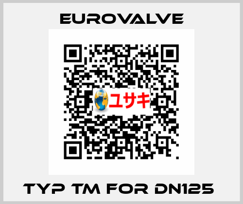 TYP TM FOR DN125  Eurovalve