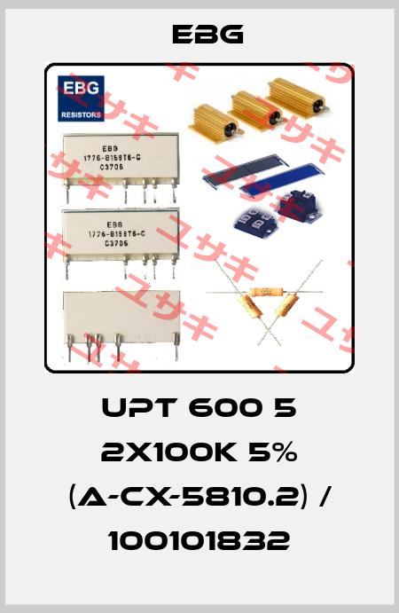 UPT 600 5 2X100K 5% (A-CX-5810.2) / 100101832 EBG